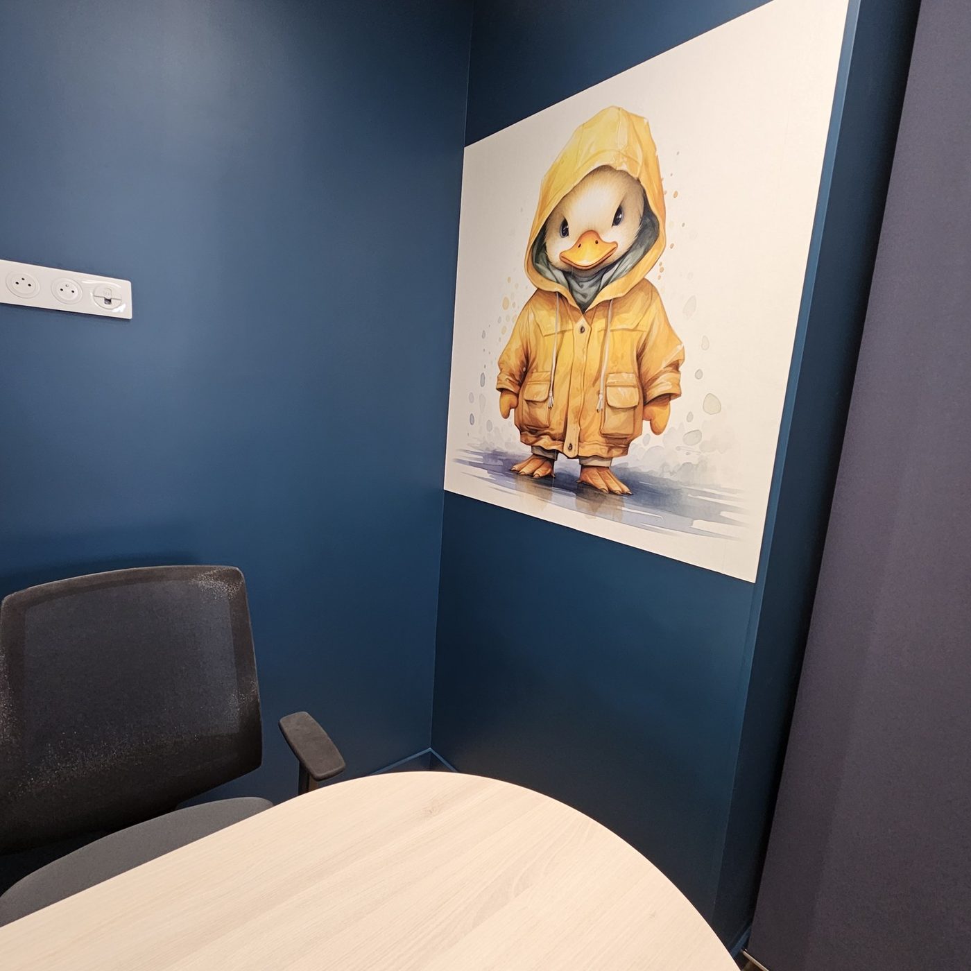 Le bureau, décor canard — Cabinet Dentaire du Pays d'Aubagne, Roquevaire